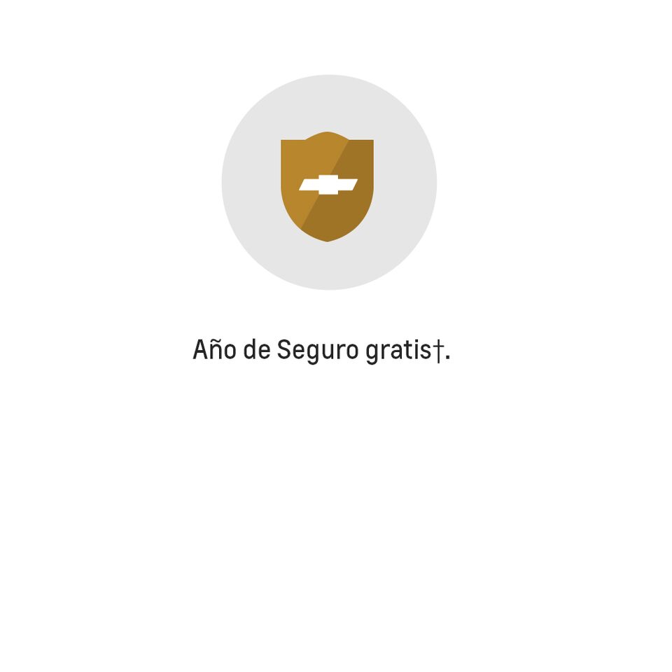 Icono para año de seguro gratis